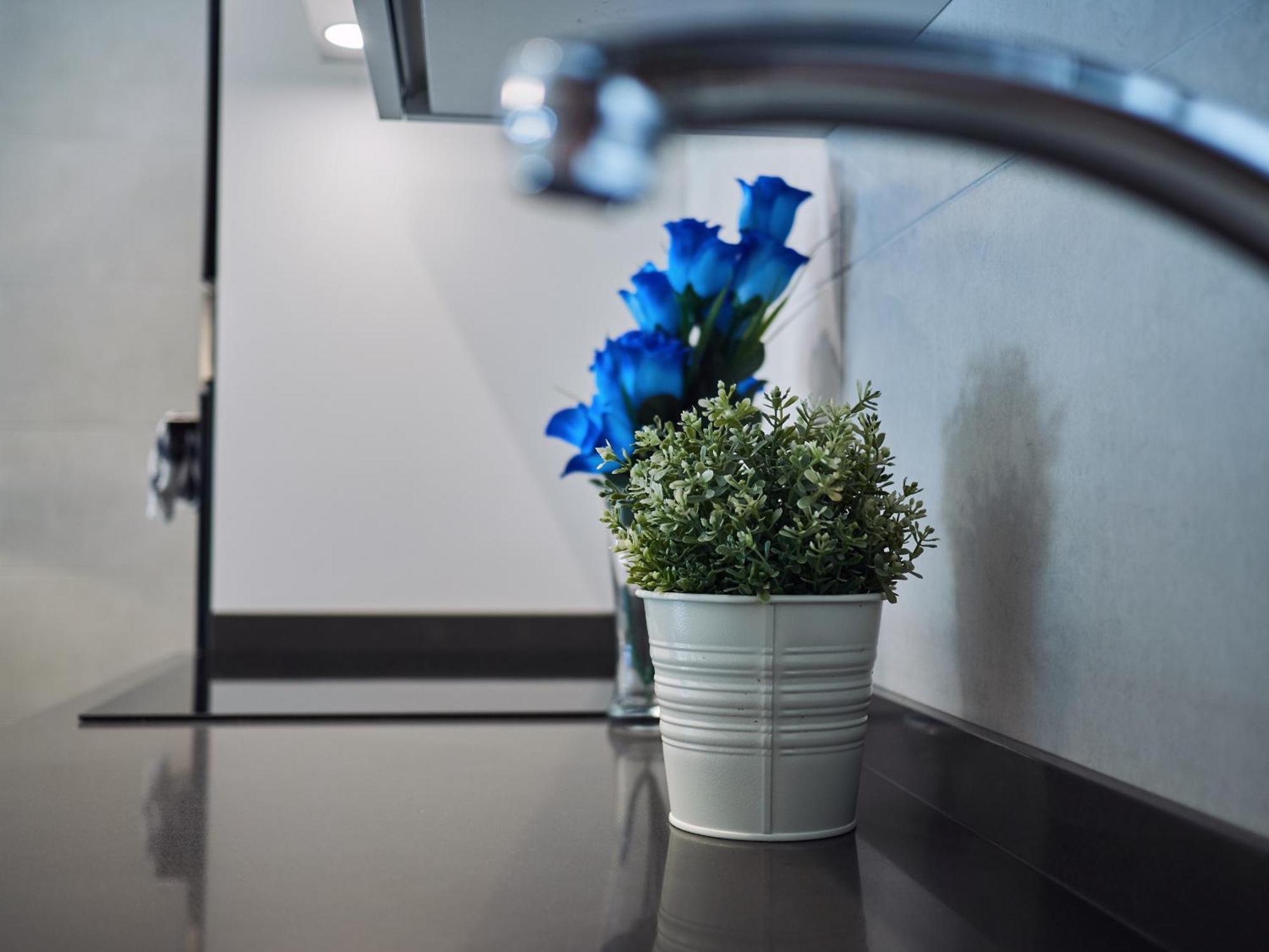 Apartmán Amara Prime San Sebastián Exteriér fotografie